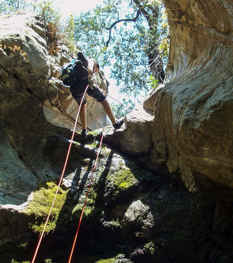 CCC Canyon Banner.jpg