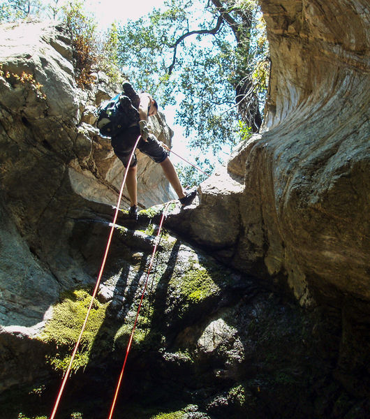 File:CCC Canyon Banner.jpg