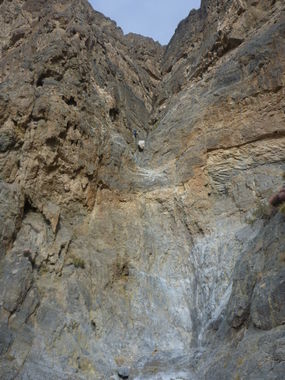 Dwarf Canyon Banner.jpg