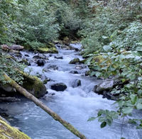 Sholes Creek-20200910200617 pic.jpg