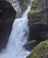Big Creek (South Cascades)-20230514031100 pic.jpg