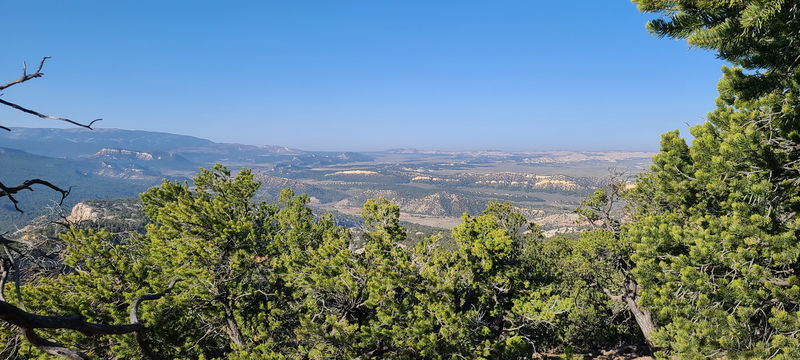 File:Cougar Canyon (New Mexico) pic3.jpg