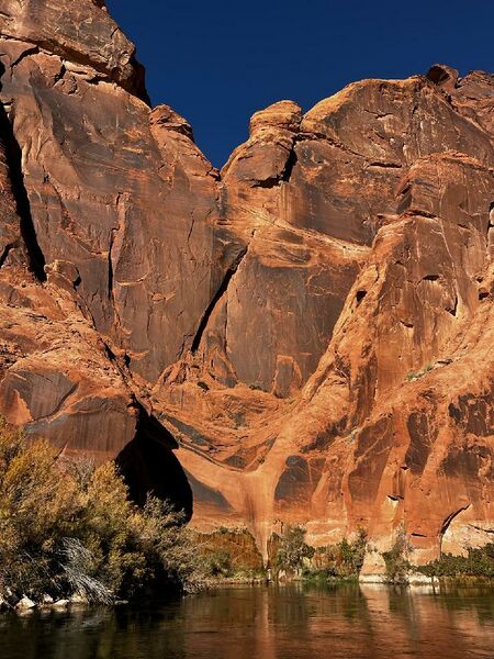 File:Falling Cow Banner.jpg