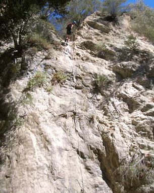Fusier Canyon (Left Fork) Banner.jpg