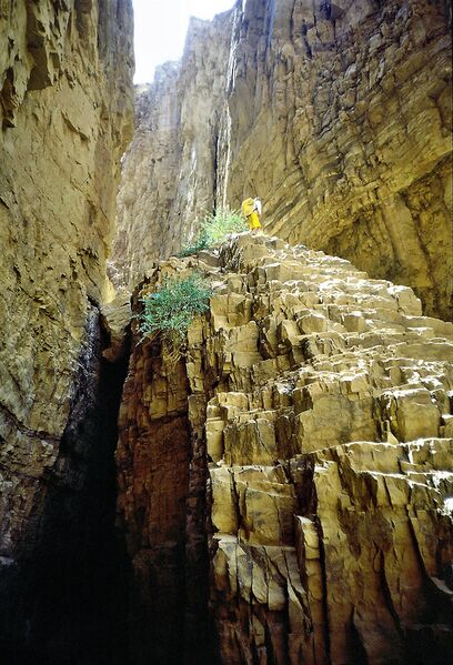 File:Himara (Lower) Banner.jpg