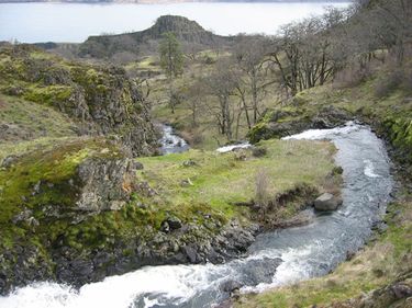 Labyrinth Creek Banner.jpg