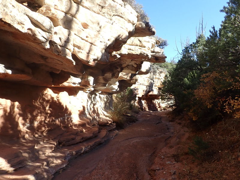 File:Miller Creek (Dinosaur) pic2.jpg