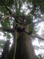 Thumbnail for version as of 03:02, 14 June 2014