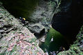 Thumbnail for version as of 14:07, 2 February 2022