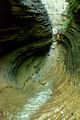 Thumbnail for version as of 17:22, 14 August 2016