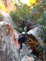 Thumbnail for version as of 02:56, 12 October 2020