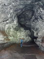 Thumbnail for version as of 01:49, 16 October 2014