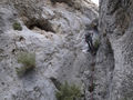 Thumbnail for version as of 22:15, 7 December 2016