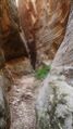 Thumbnail for version as of 02:52, 26 January 2016