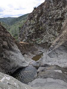 Pacheco 1 050525.jpg