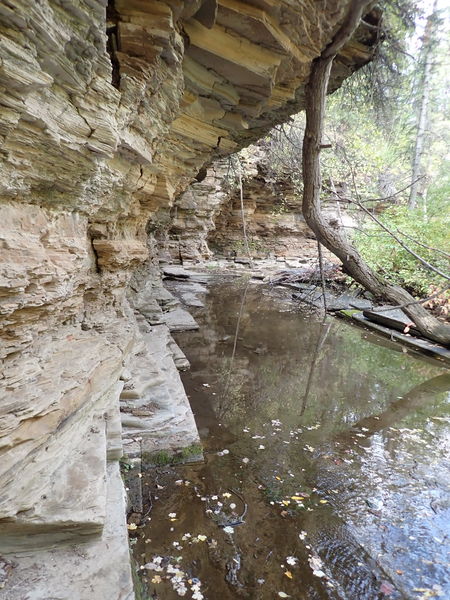 File:Parachute Creek (East Fork) pic3.jpg