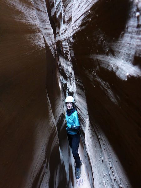 File:Chambers Canyon Banner.jpg