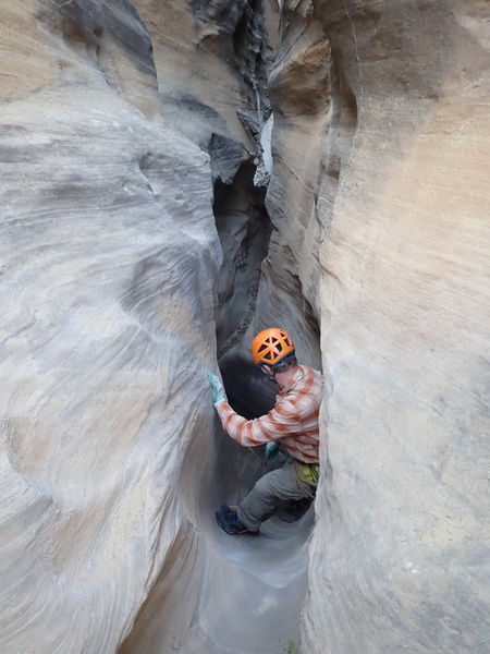 File:Cougar Canyon (New Mexico) pic9.jpg