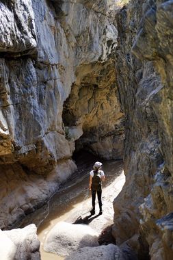 Hidden Springs Canyon Banner.jpg