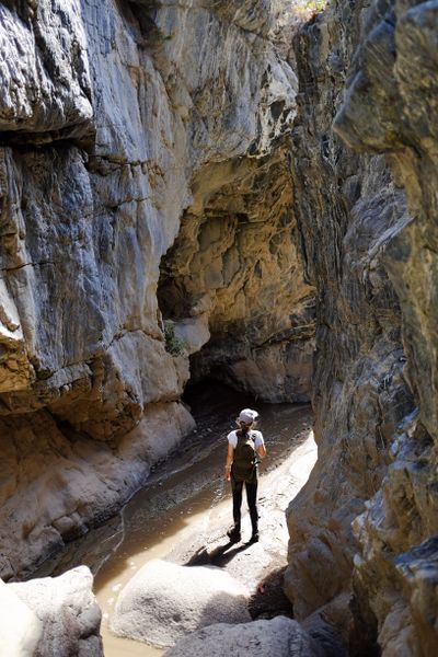 File:Hidden Springs Canyon Banner.jpg