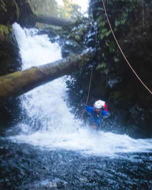 Noochee Creek Banner.jpg