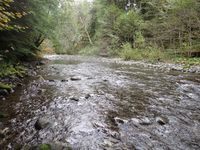 Satsop River Gorge (West Fork)-20201006040403 pic.jpg