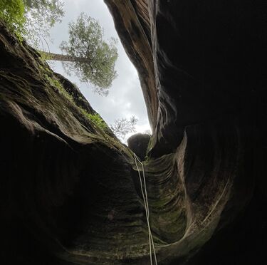 Skunk Hollow Canyon Banner.jpg