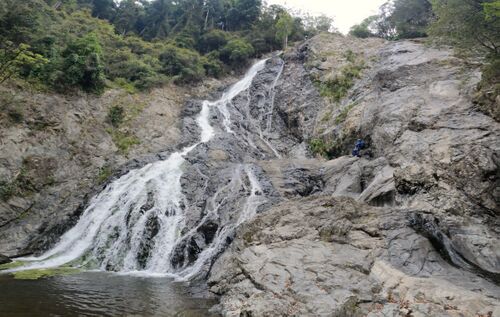 Tobins River-20260101224922 pic.jpg