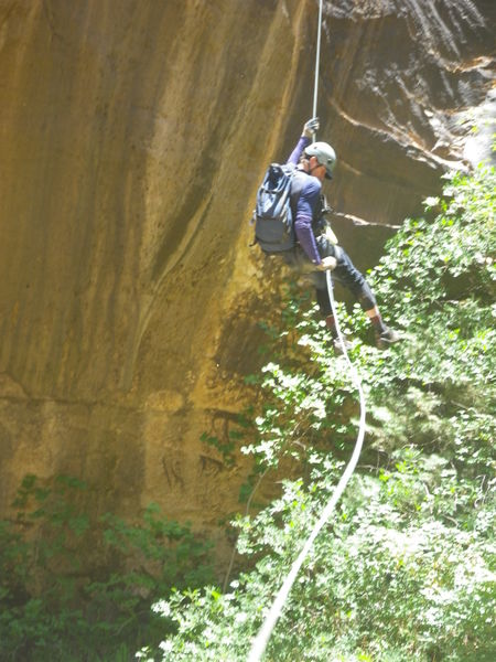 File:FILE-20180706181143.jpg