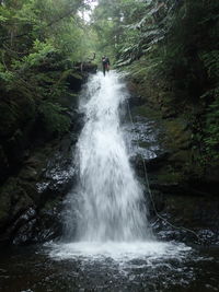 Hawthorn r10.JPG