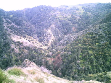 Rice Canyon (East Fork) Banner.jpg
