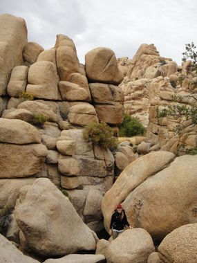 Wonderland of Rocks Banner.jpg