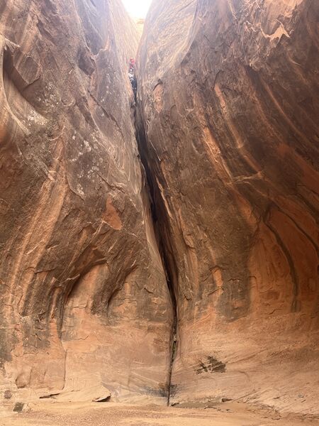 File:Bird Shit Alley Banner.jpg