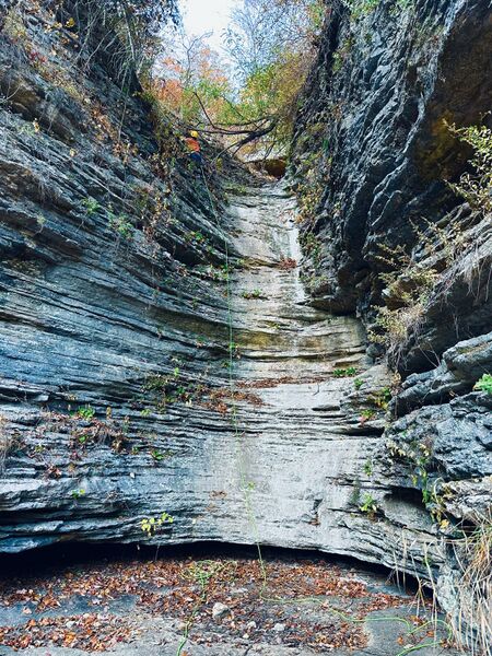 File:Cecil Hollow WhatsApp Image 2024-11-04 at 10.35.14.jpeg