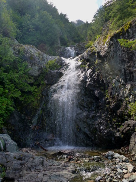 File:Clear Creek (West Fork) JumboFrogR7BottomLookingUp.jpg