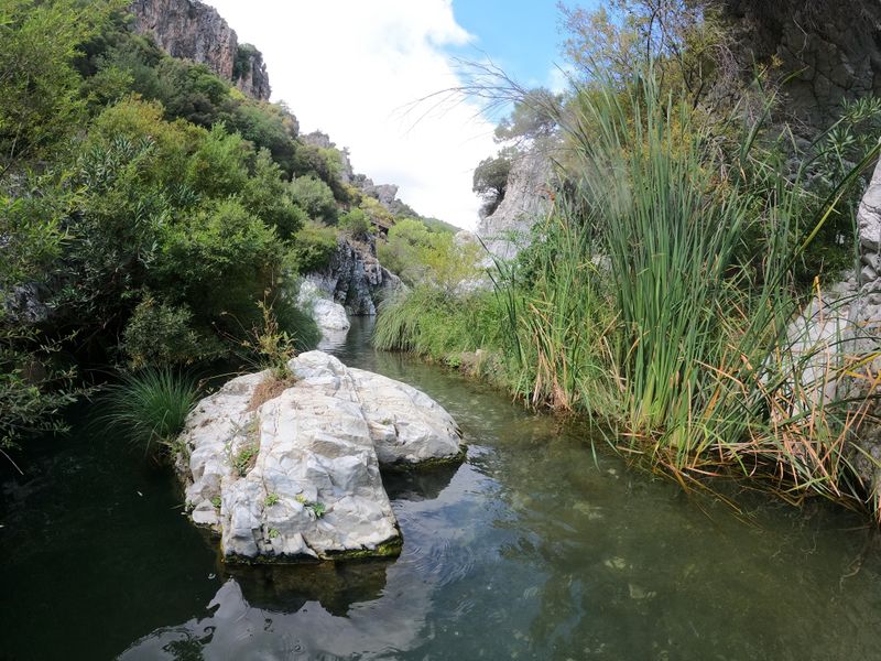 File:Guadalmina unremarkable.jpg