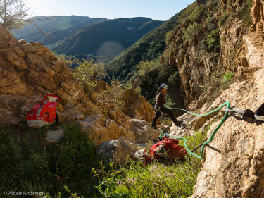 Nehr Canyon Banner.jpg