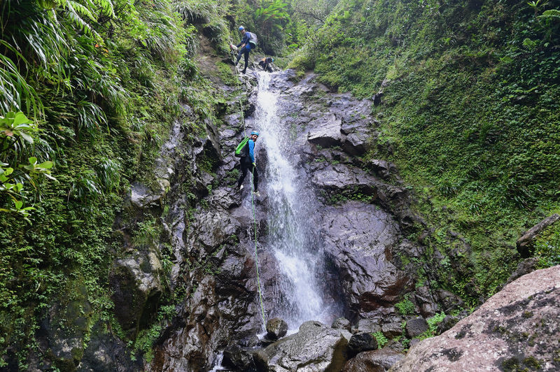 File:FILE-20230211130522.jpg