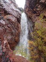 Shake Tree Canyon-20191209034255 pic.jpg