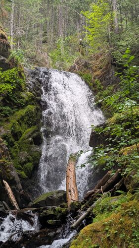 Whitehorse Creek (Olympic Peninsula)-20250803015704 pic.jpg