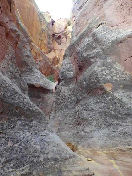 File:Chavez Canyon pic5.jpg