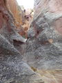 Thumbnail for version as of 19:52, 3 May 2022