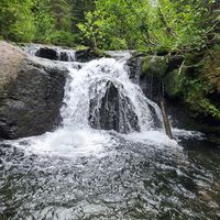 Dark Creek-20220718154340 pic.jpg