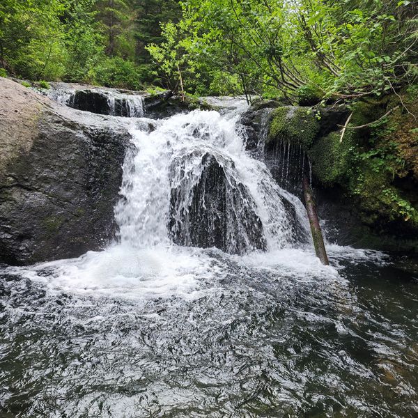 File:Dark Creek-20220718154340 pic.jpg