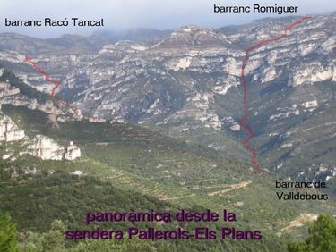 Raco Tancat Banner.jpg