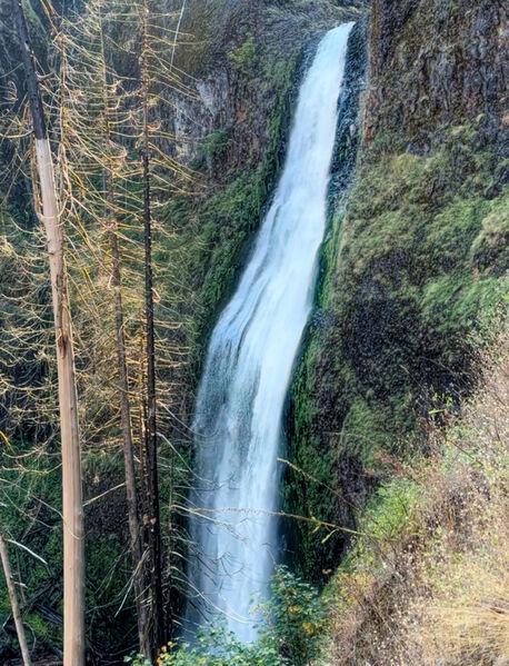 File:South Fork Clackamas River-20241013030334 pic.jpg