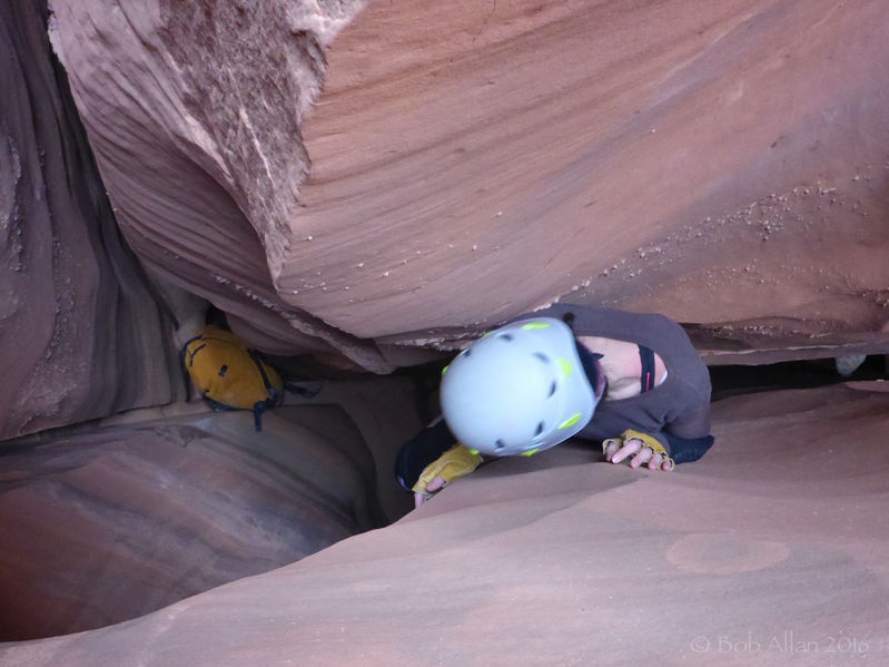File:Hard Day Harvey Canyon Banner.jpg