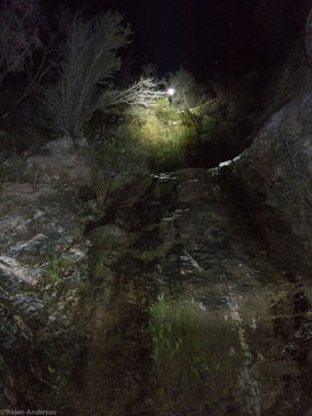 Little Fox Creek Banner.jpg