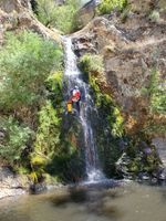 Salmon Creek (Lower)-20220815003523 pic.jpg