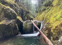 Irene Creek-20240923090534 pic.jpg